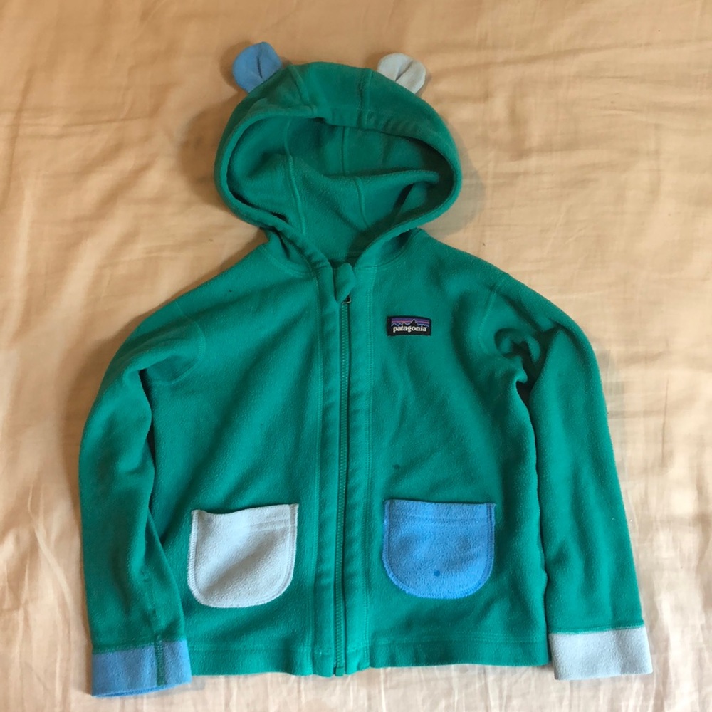 Patagonia hooded fleece